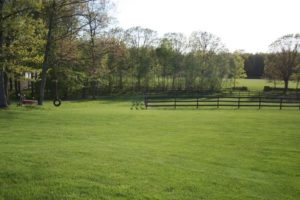 Zoar Ridge Stables