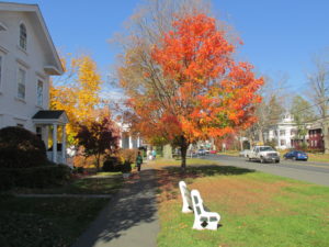 Main Street, Newtown